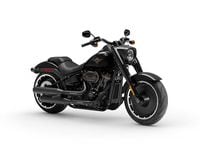 Blacked out deals harley fatboy