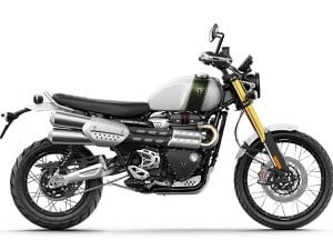 Honda scrambler 2019 on sale