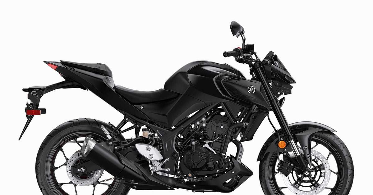 2020 Yamaha MT-03 | Motorcycle Cruiser